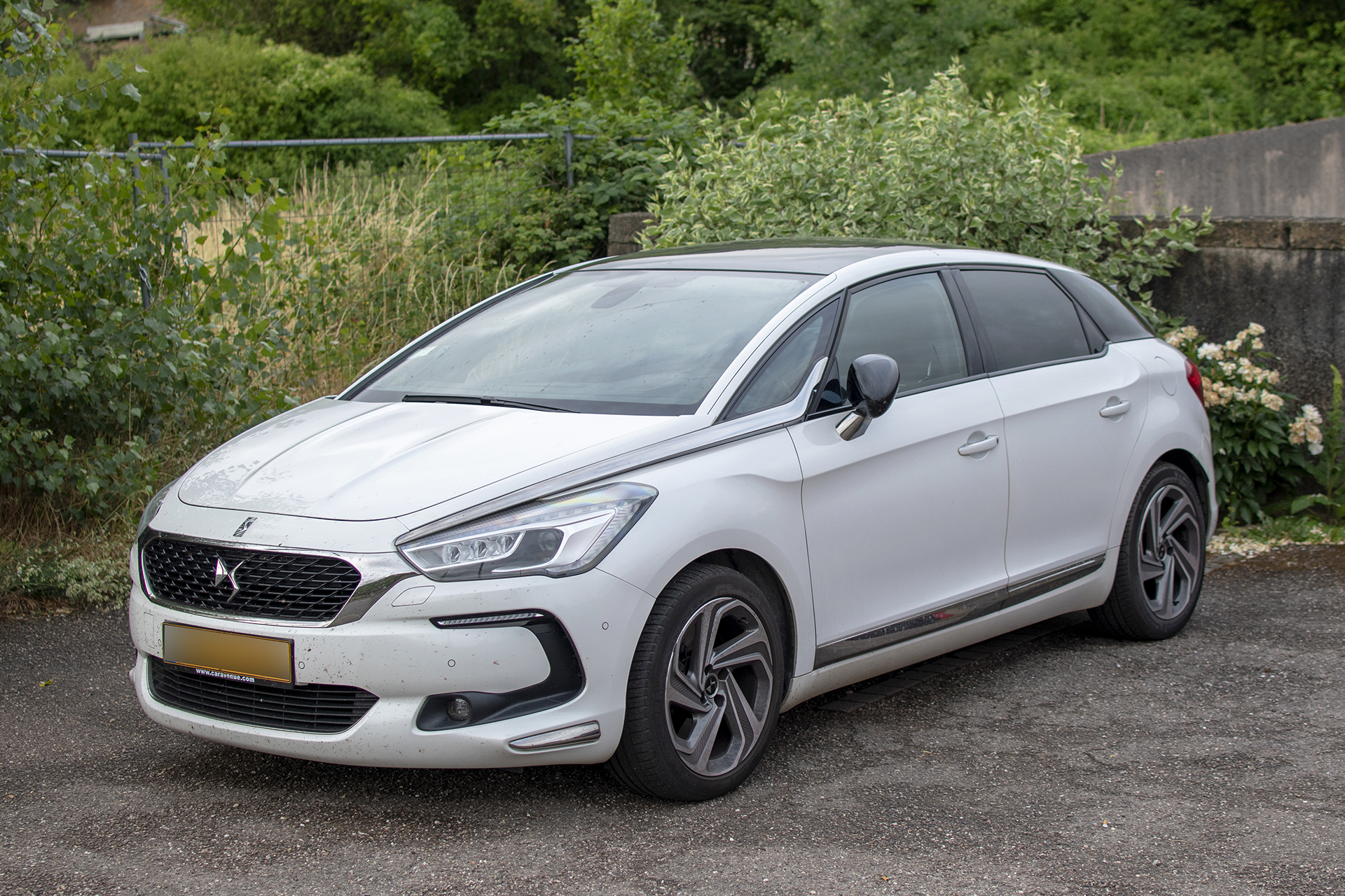 DS 5