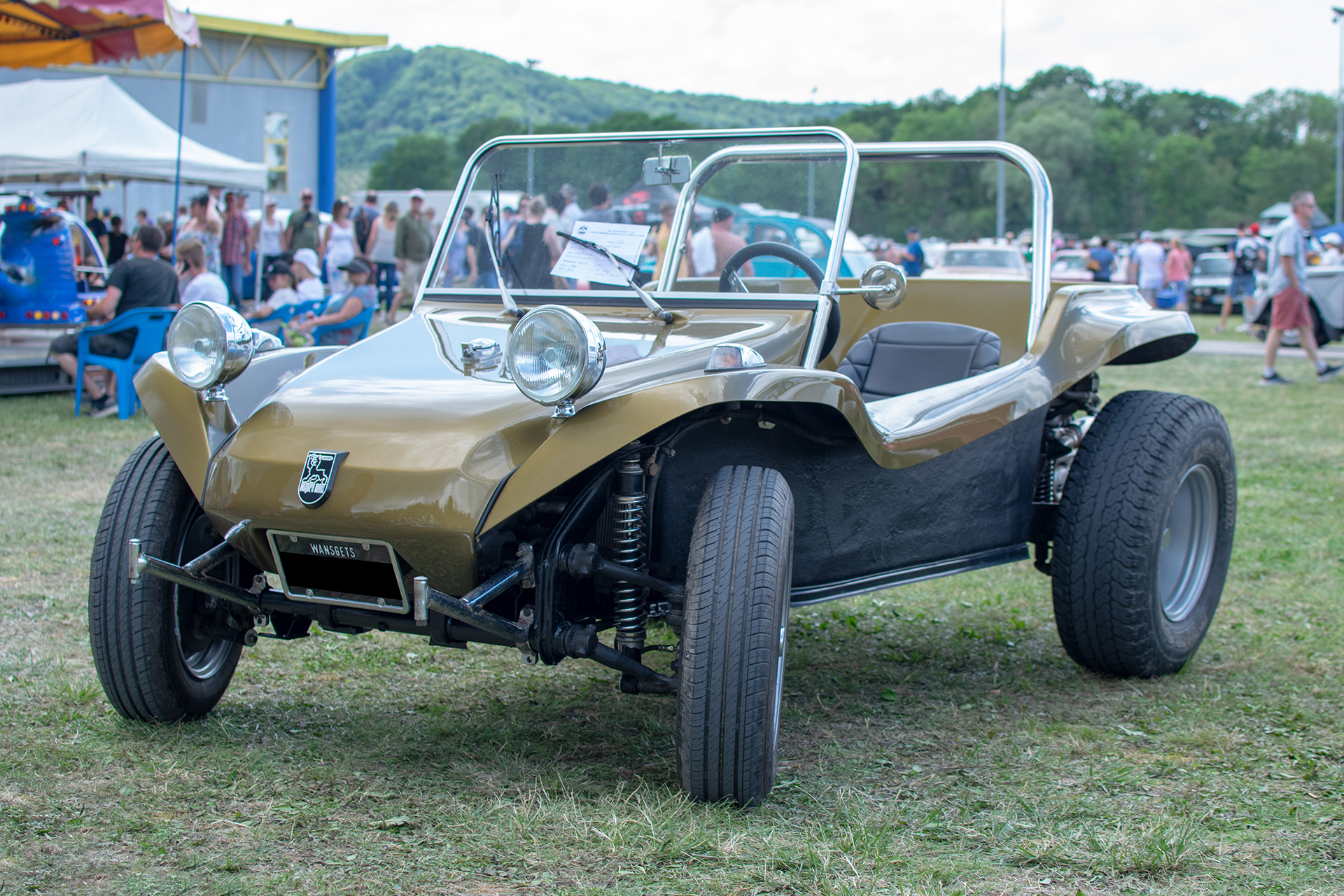 Meyers Manx