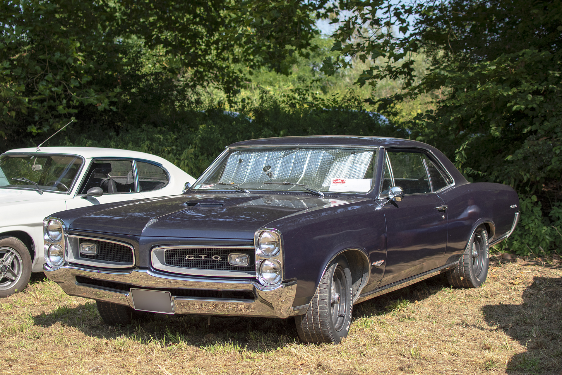 Pontiac GTO 1966 - Automania ,2024, Bouzonville