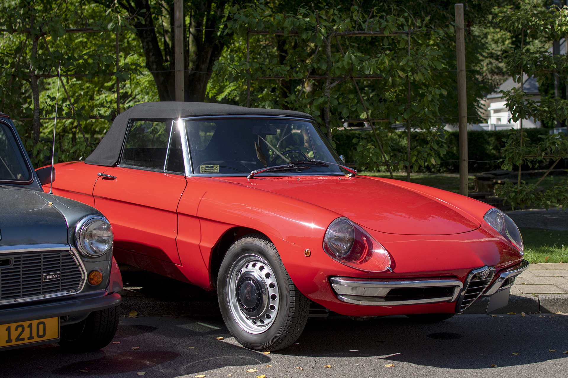 Alfa Romeo Spider (Duetto) série 1 - Hystory Vehicles by Kiwanis, 2025, Lasauvage