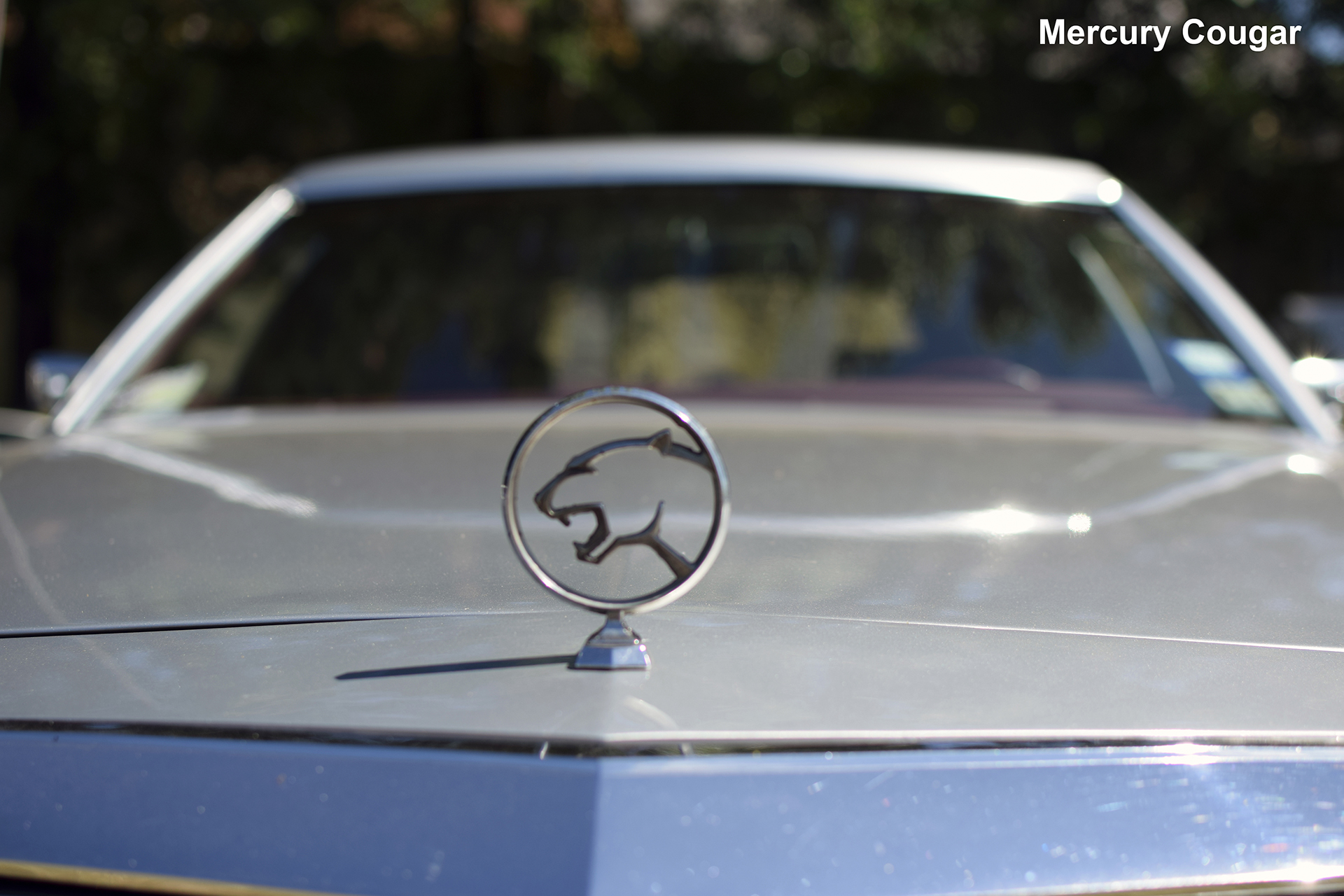 Mercury Cougar IV logo - Automania 2016, Château de Freistroff