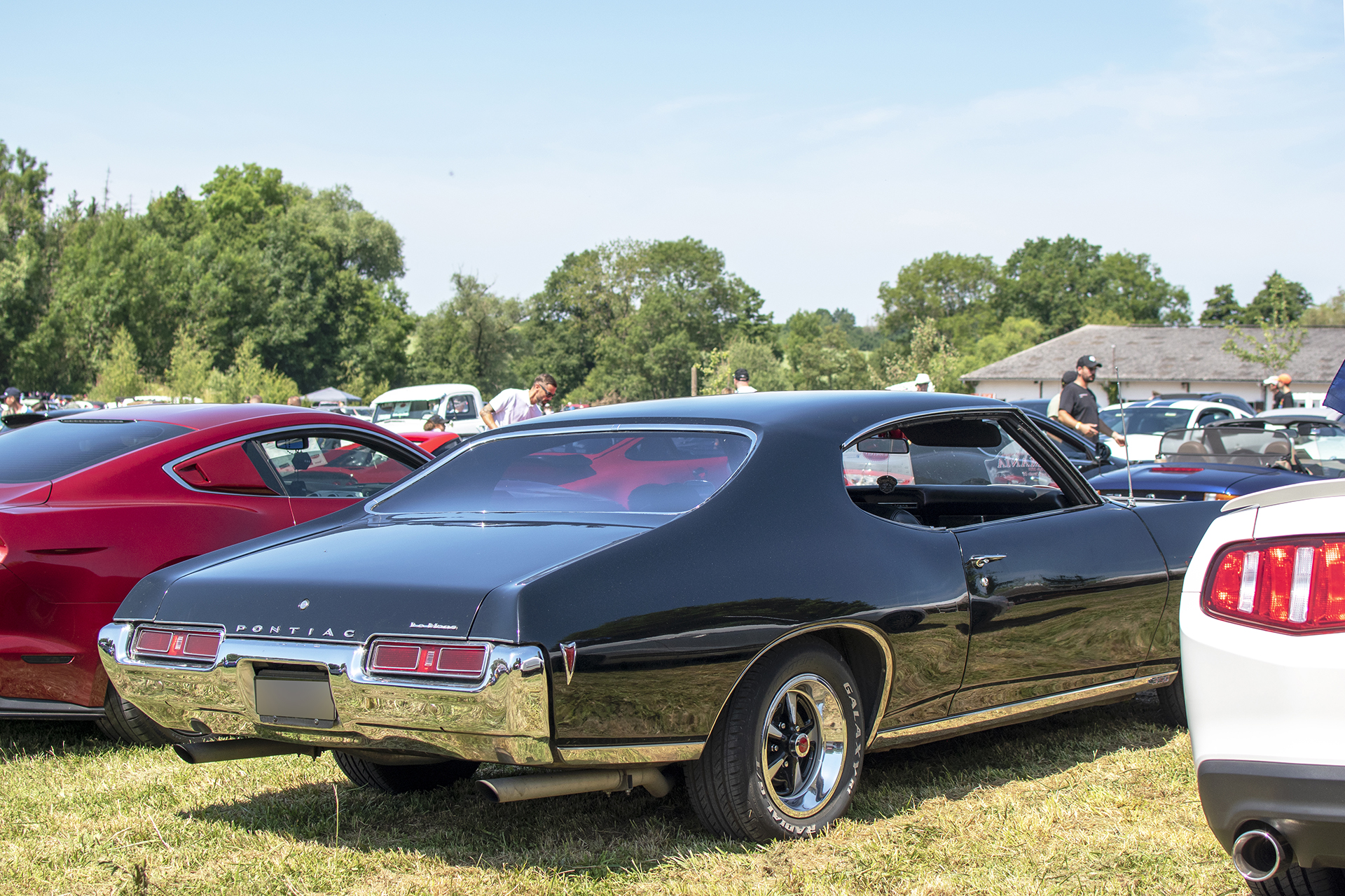Pontiac LeMans III 1969 arrière - Automania 2025, Edling, Hara du Moulin