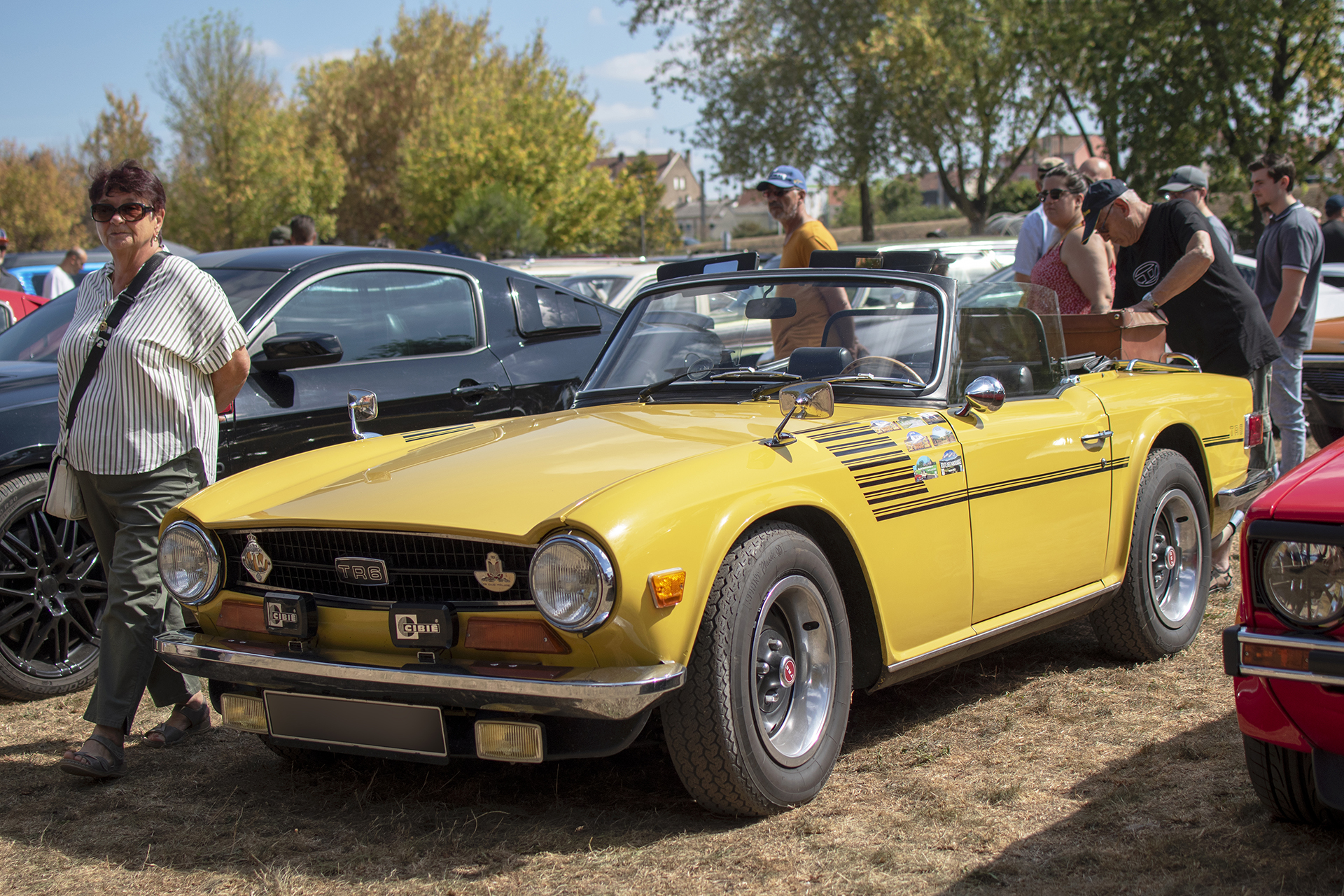 Triumph TR6