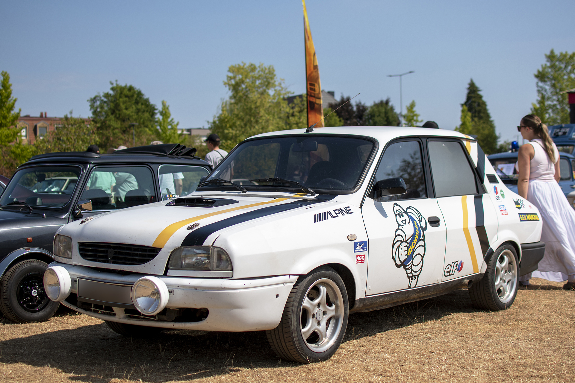 Dacia 1310